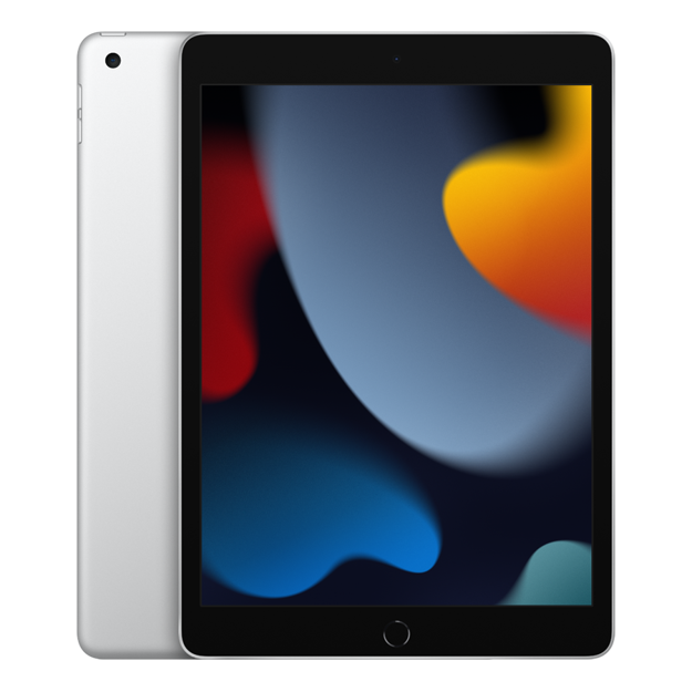 Picture of 10.2-inch iPad Wi-Fi 256GB