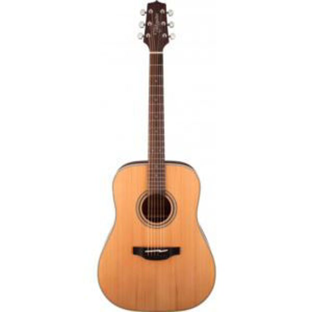 Picture of GD20 Acoustic Guitar