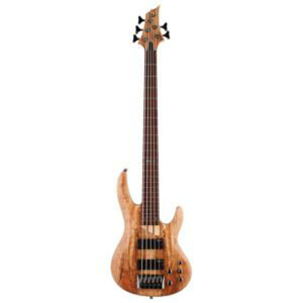 Picture of LTD B-205 Spalted Maple 5-String Electric Bass