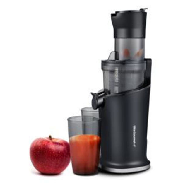 Picture of Dynamic Masticating Big Mouth Slow Juicer