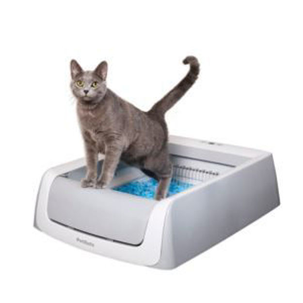 Picture of ScoopFree Self-Cleaning Litter Box