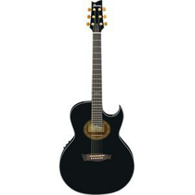Picture of Steve Vai Acoustic/Elec Guitar