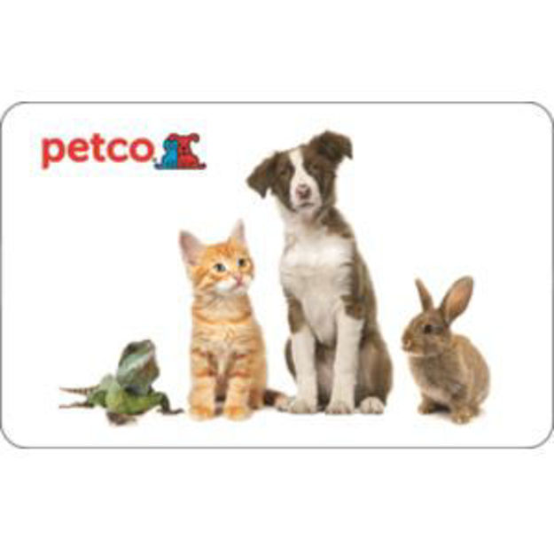 Picture of $100.00 Petco eGift