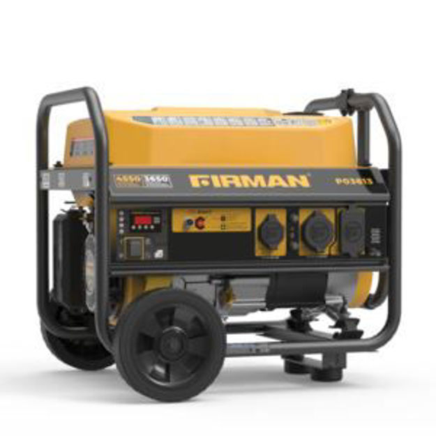 Picture of 4550W Portable Gas Generator