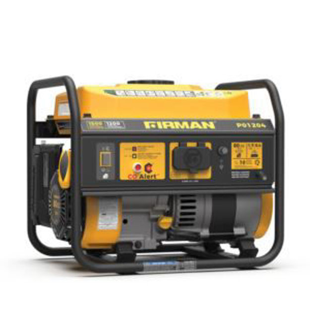 Picture of 1500W Portable Gas Generator