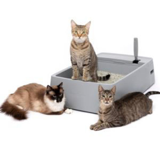 Picture of Multi-Cat Plastic Litter Box