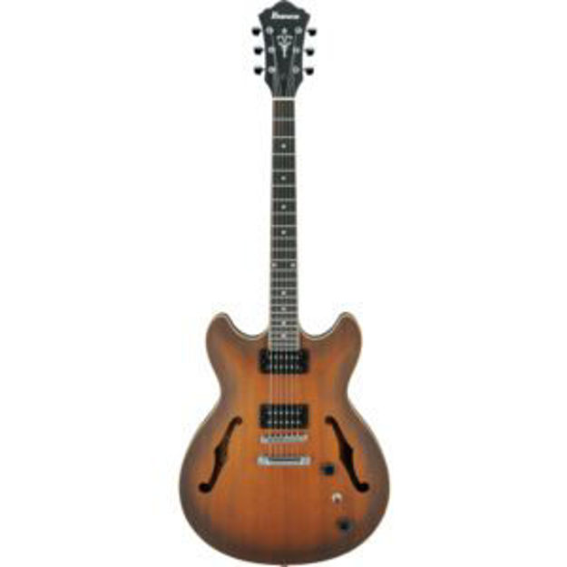 Picture of AS53 6-String Hollow-Body Electric Guitar