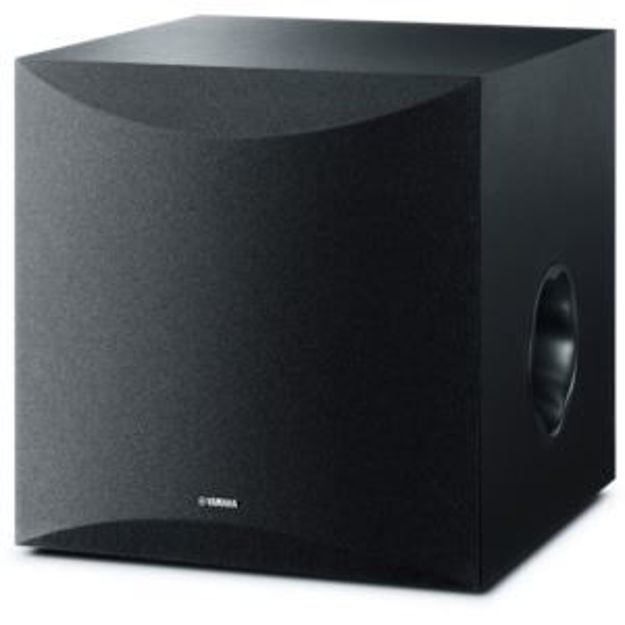 Picture of NS-SW100 Powered Subwoofer