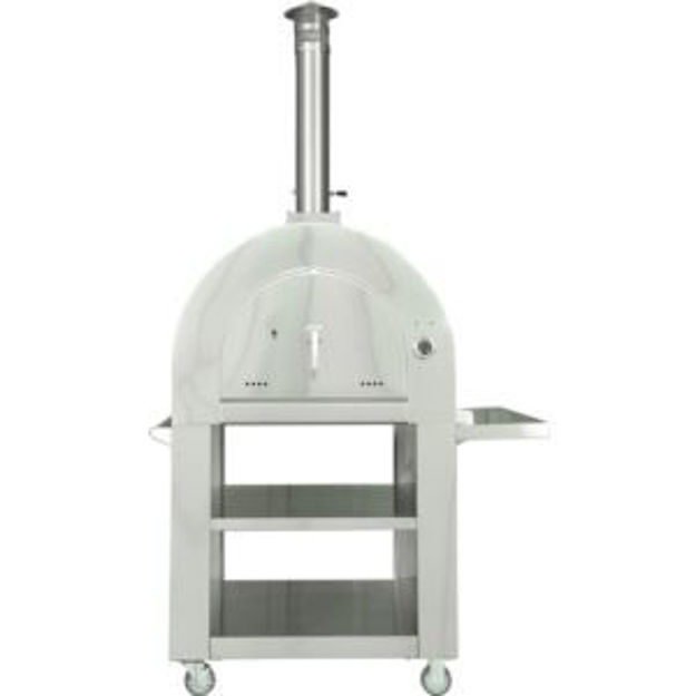 Picture of Portable Wood-Fired Pizza Oven in Stainless Steel