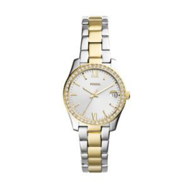 Picture of Ladies Scarlette Two-Tone Stainless Steel Watch Silver Dial