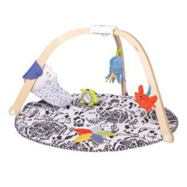 Picture of Ocean Easy-Fold Play Gym