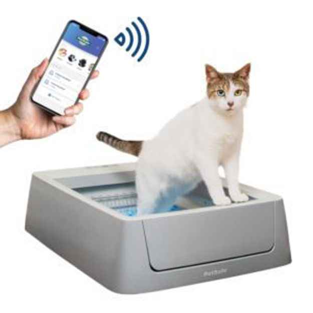 Picture of ScoopFree Crystal Smart Self-Cleaning Litter Box