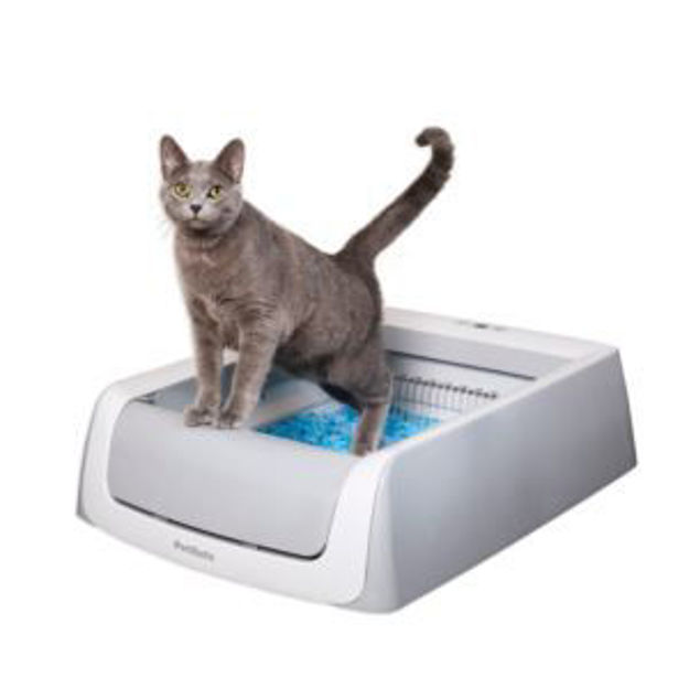 Picture of Scoopfree Crystal Pro Self-Cleaning Litter Box