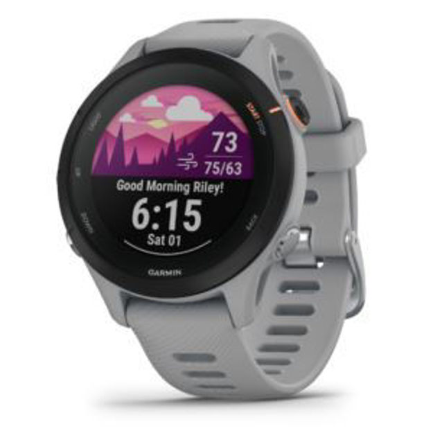 Picture of Forerunner 255S, Powder Gray (41 mm)