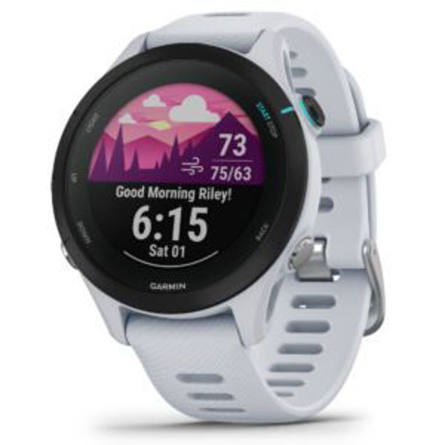 Picture of Forerunner 255 Music, Whitestone (46mm)