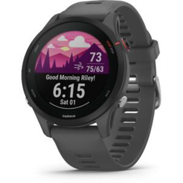 Picture of Forerunner 255, Slate Gray (46mm)