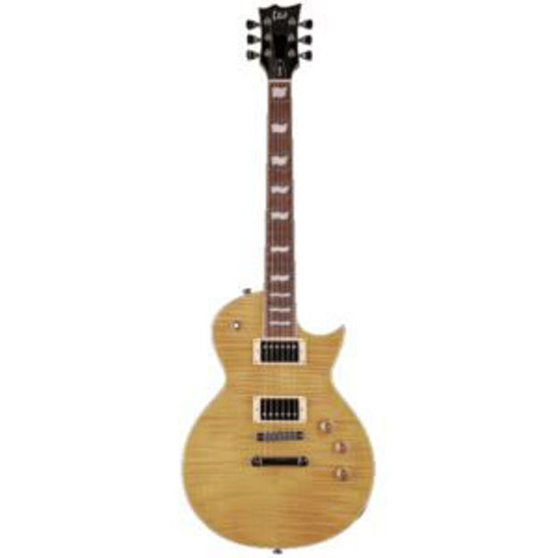 Picture of LTD EC-256 Electric Guitar