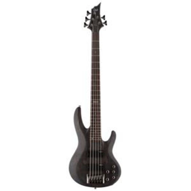 Picture of LTD B-205 5-String Spalted Maple Electric Bass