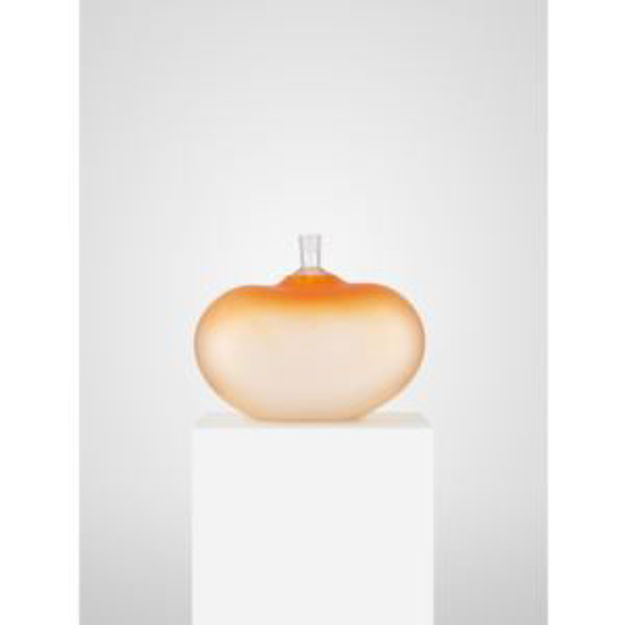 Picture of Beans Orange