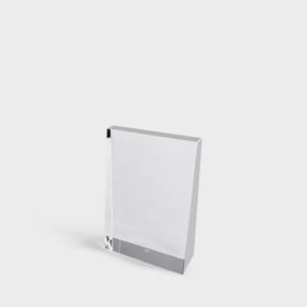 Picture of Celebration Award