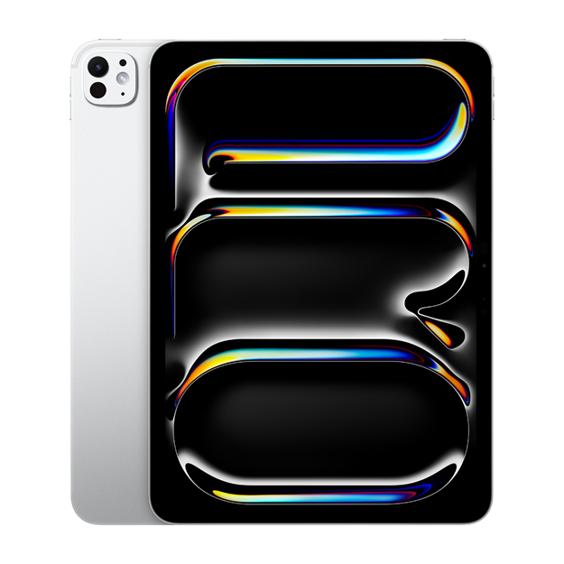 Picture of 11-inch iPad Pro Wi-Fi 256GB