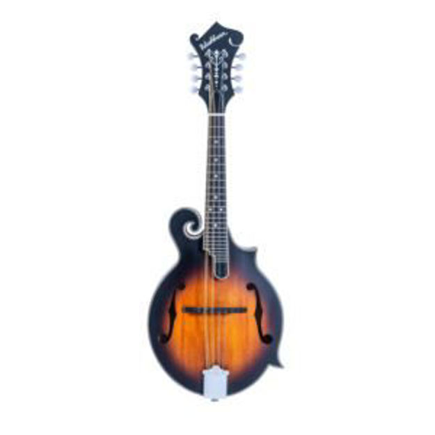 Picture of M3SEBRK F style Mandolin with Gig Bag