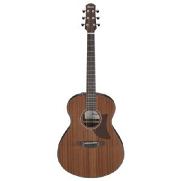 Picture of Advanced Acoustic Auditorium Pure Acoustic Guitar