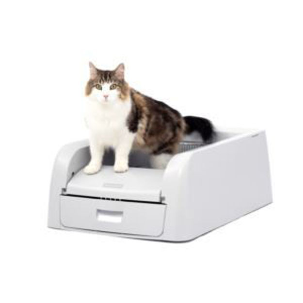 Picture of ScoopFree Clumping Select Self-Cleaning Litter Box