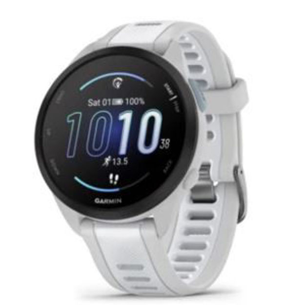 Picture of Forerunner 165 - Mist Gray/Whitestone