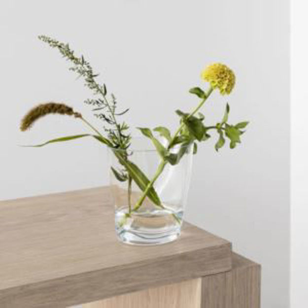 Picture of Squeeze Vase Clear Tulip