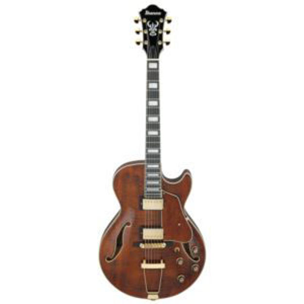Picture of Artcore Expressionist AG95MG Semi-hollow Electric Guitar