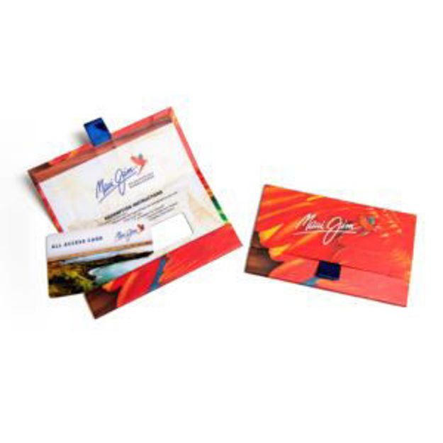 Picture of All Access Pass