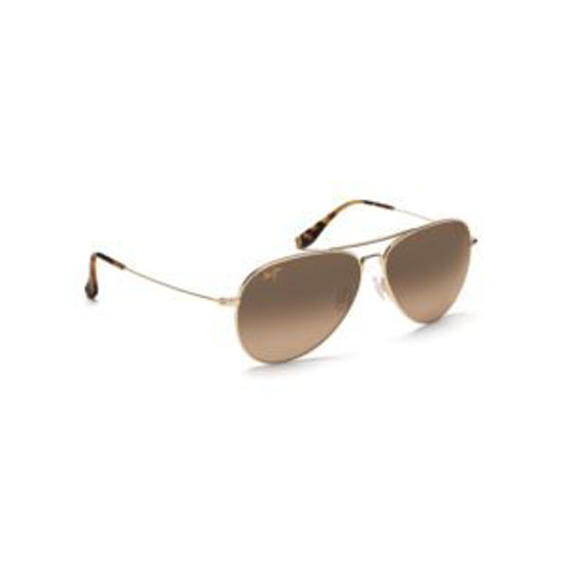 Picture of Mavericks Polarized Sunglasses Gold Frame HCL Bronze Lens