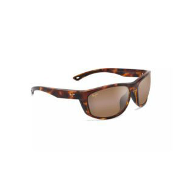 Picture of Nuu Landing Polarized Sunglasses Tortoise Frame HCL Bronze Lens