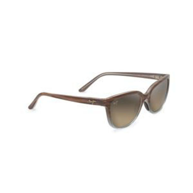 Picture of Honi Polarized Sunglasses Sandstone and Blue Frame HCL Bronze Lens