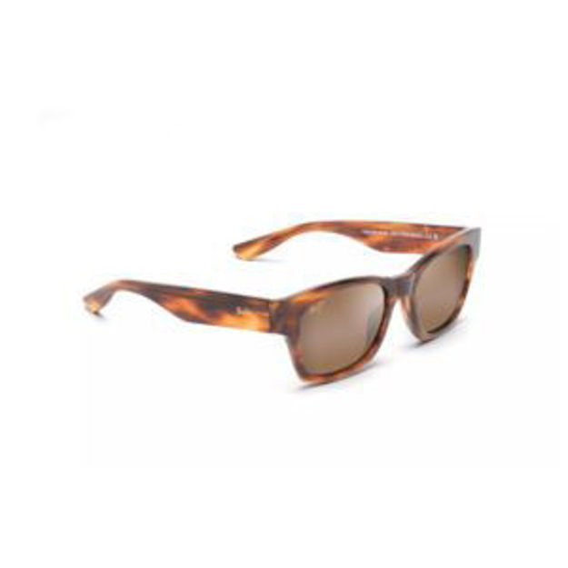 Picture of Valley Isle Polarized Sunglasses Tortoise Frame HCL Bronze Lens