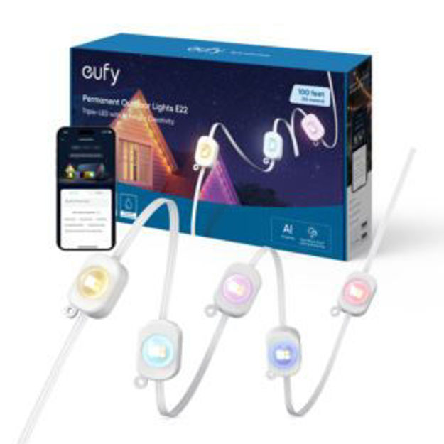 Picture of 100FT Permanent Outdoor Lights E22