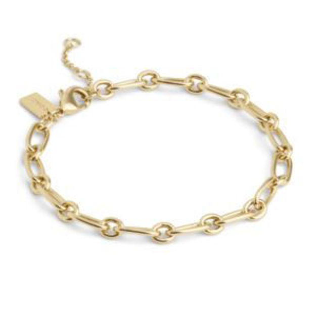Picture of Starter Bracelet - Gold